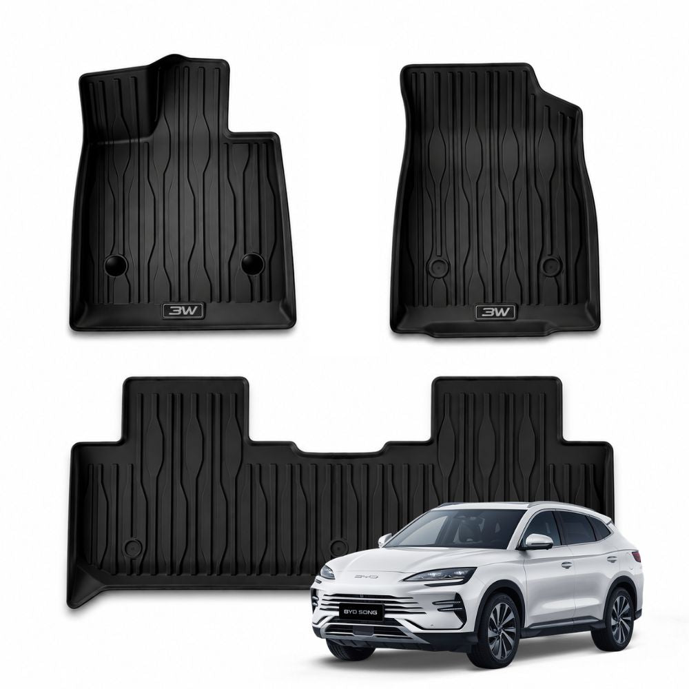 3W BYD Floor Mats