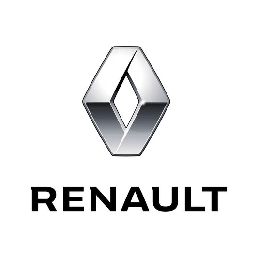 3W Renault Floor Mats - cozy home