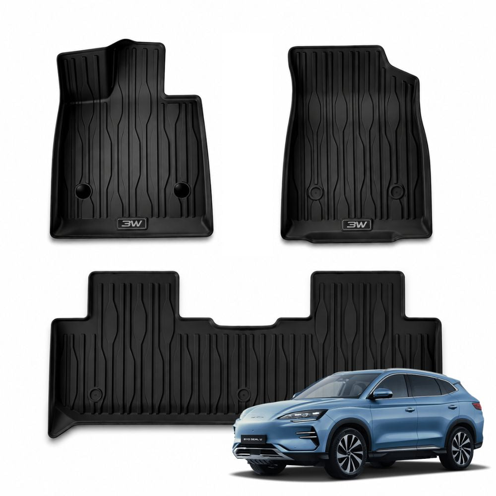 3W BYD Floor Mats
