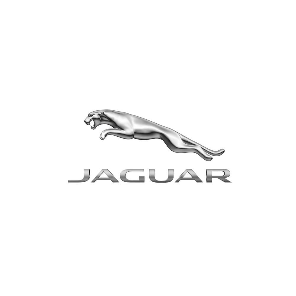 3W Jaguar Floor Mats