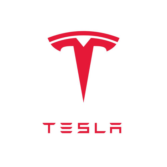 3W Tesla Floor Mats