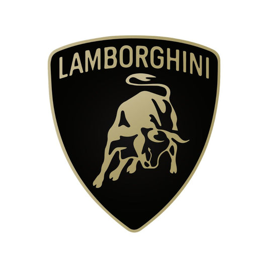 3W lamborghini Floor Mats