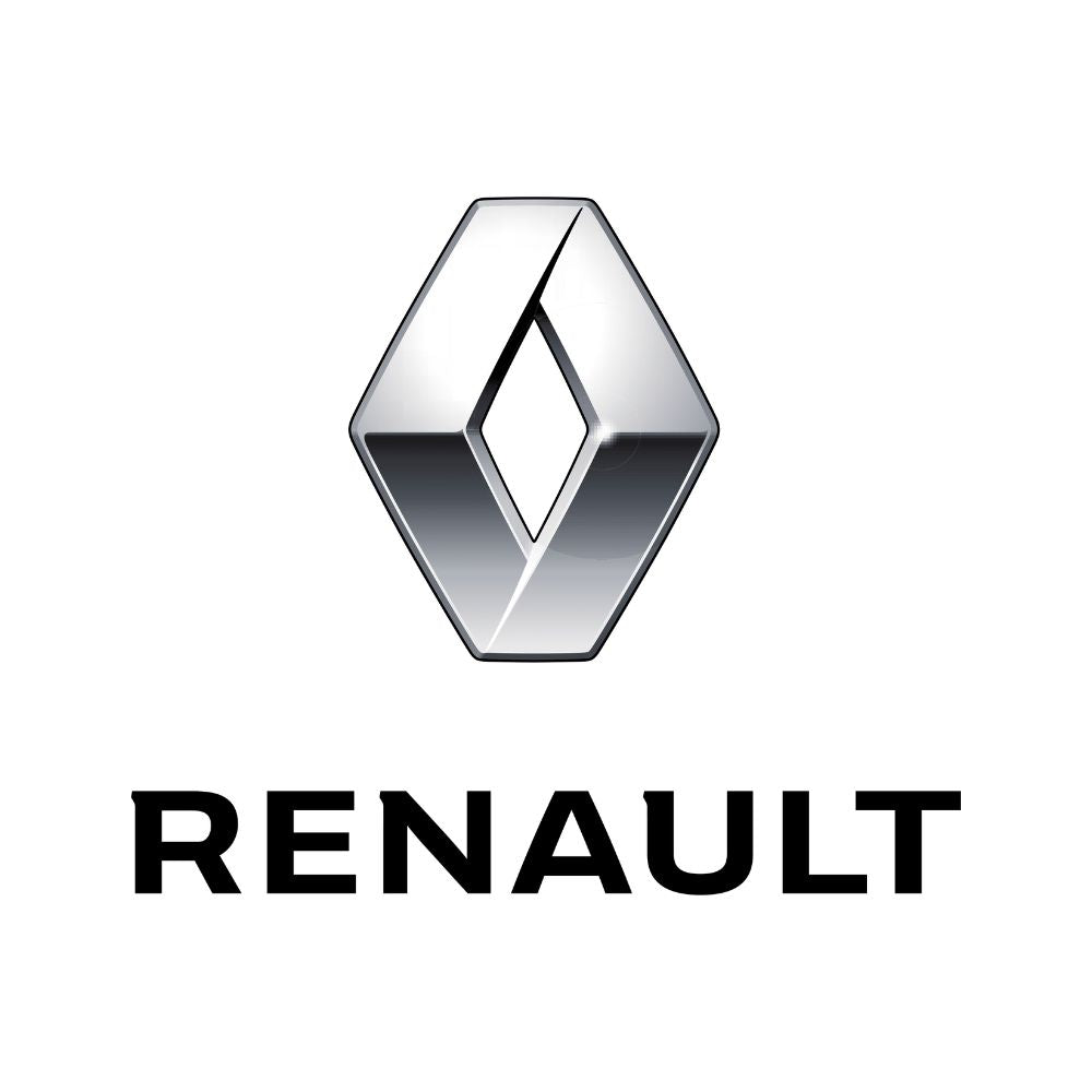 3W Renault Floor Mats