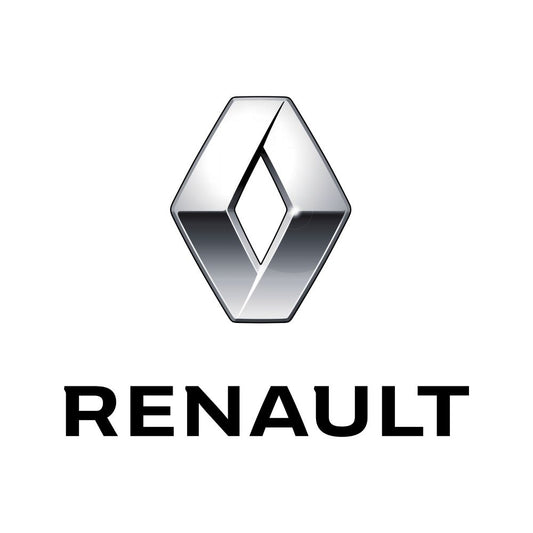 3W Renault Floor Mats