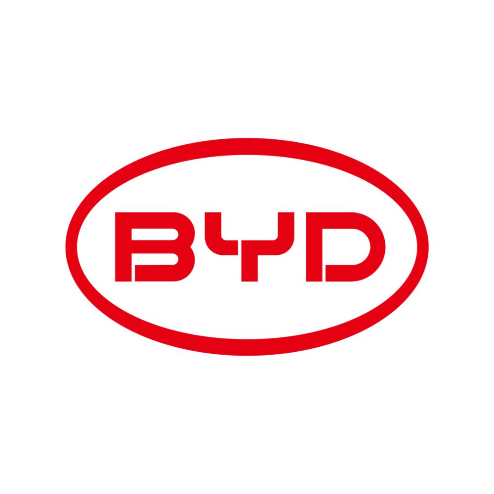 3W BYD Floor Mats