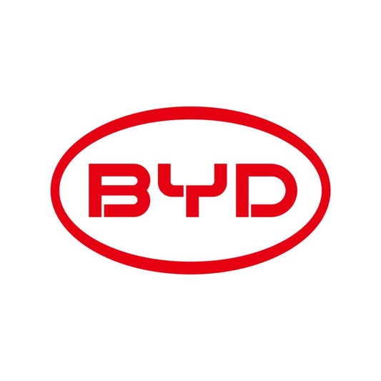 3W BYD Floor Mats